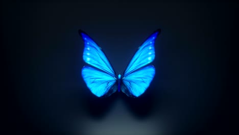 3d animation of a beautiful blue colored butterfly