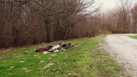 basurero en el bosque, contaminación ambiental, bosque, árboles