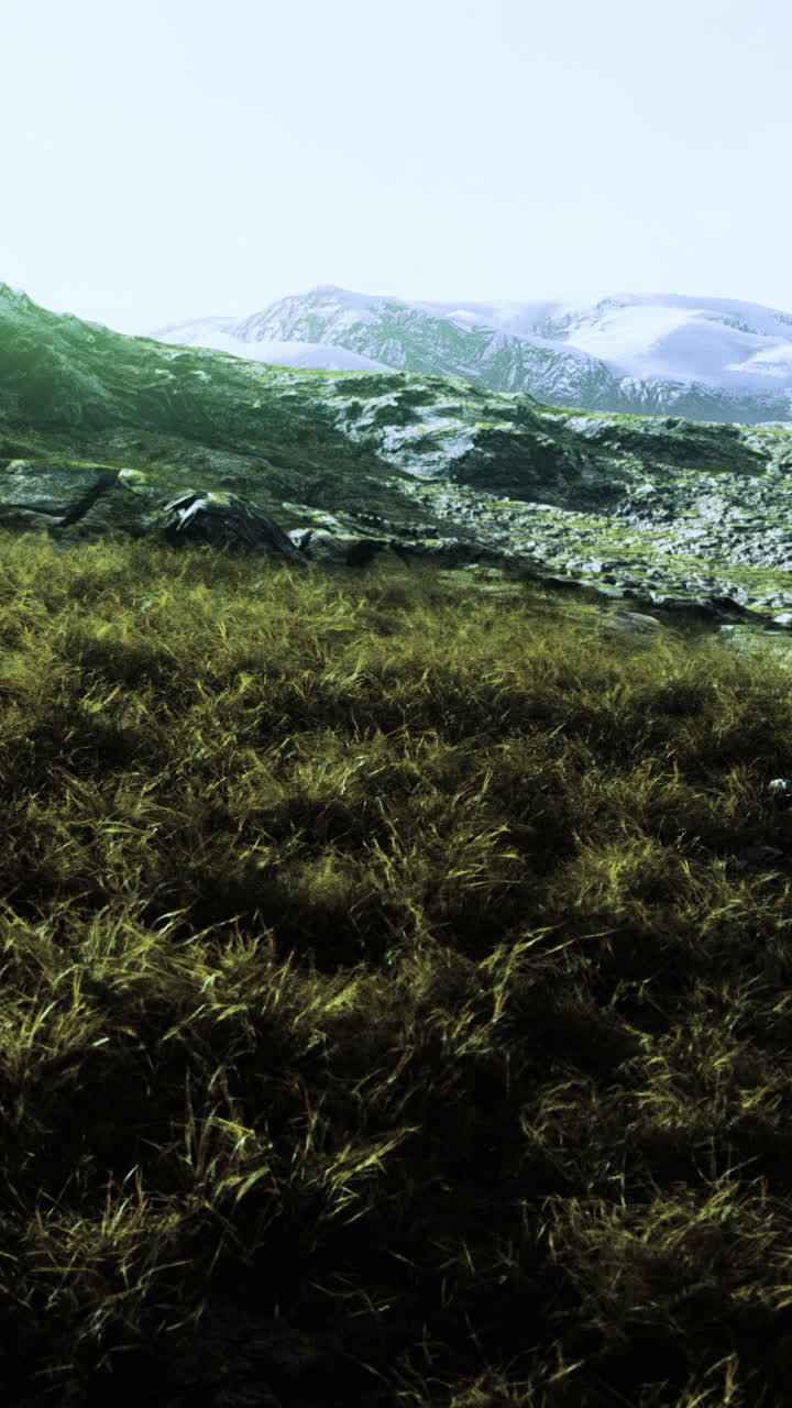 Vibrant grass and serene snow capped peaks in a majestic landscape