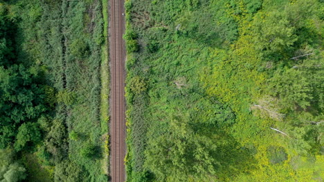 Folgen-Sie-Dem-Zuggleis-Um-Das-Wachstum-Herum,-Woods-Schnellvorlauf-Drohnenschuss