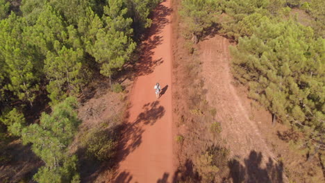 young guy with guitar walking on the red forest trail in vale figueiras, algarve, portugal - aerial