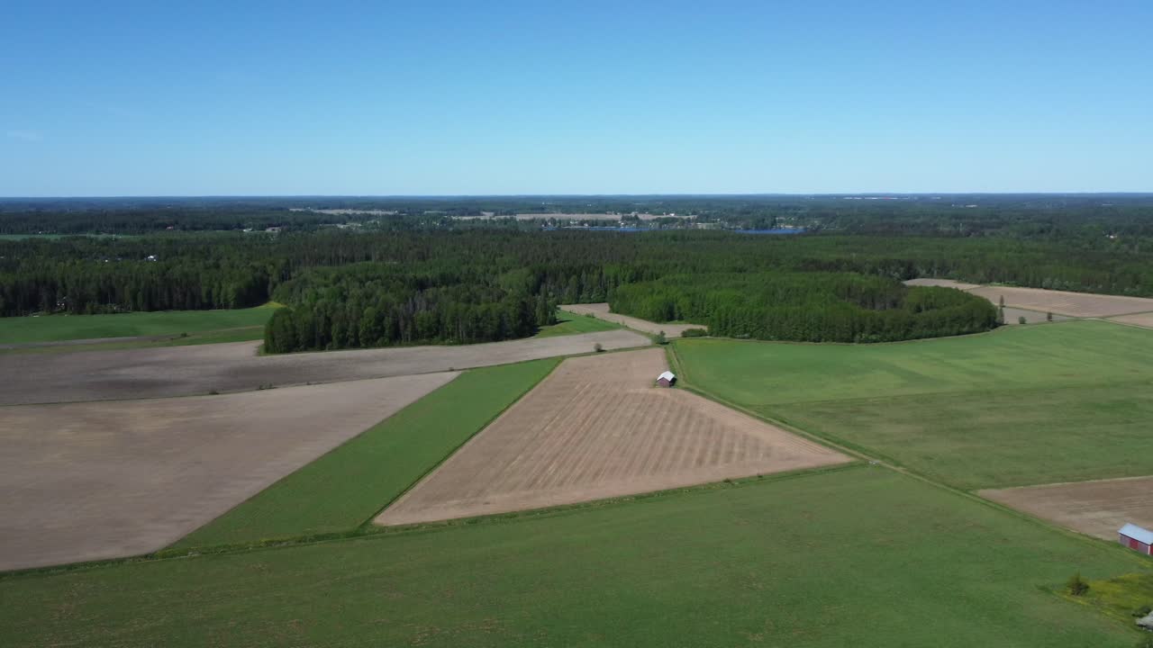 campos agrícolas de manantial verde en el bosque boreal del norte
