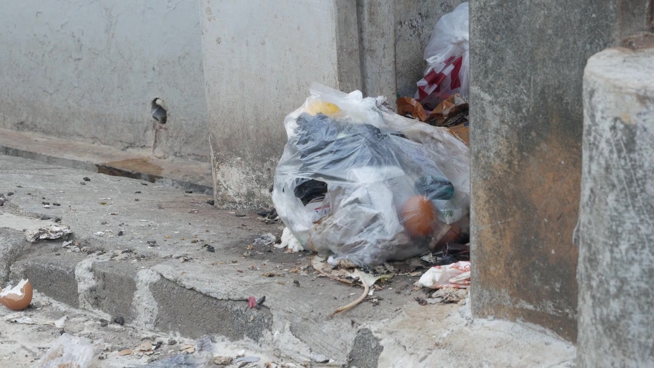Cumulo di sacchi di spazzatura in plastica a bordo strada
