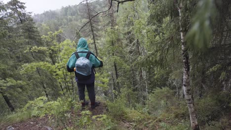 hiker in a rainy forest