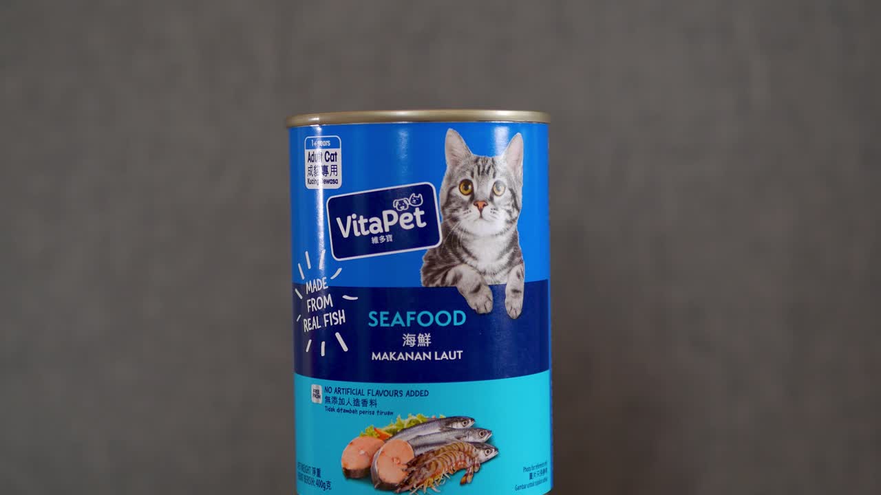 Premium canned cat food, studio shot, closeup