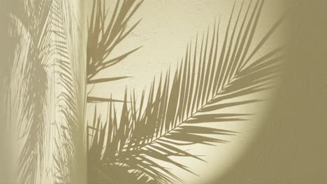 lime green textured wall with palm frond shadow waving in wind on back, vertical