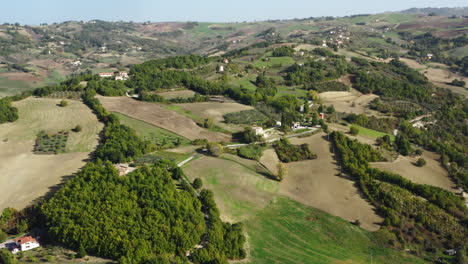 aerial shot of rural area with olive plantations around fossalto town in molise region in italy, 4k