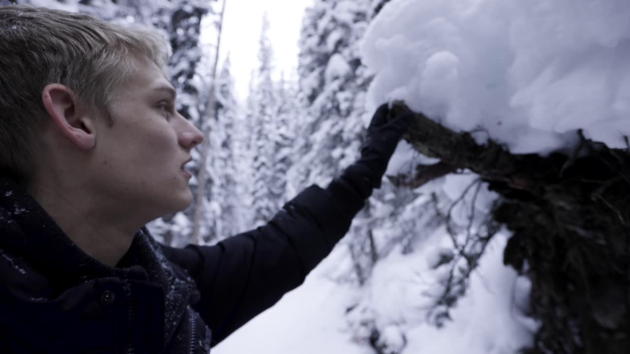 밴프 국립 공원에서 나무를 가지고 노는 등산객, 4k