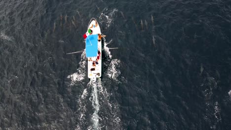 drone overhead mahi fishing charter boat in puerto escondido pacific ocean mexico with thousands of jumping spinner dolphins in a pod surrounding the vessel in semi rough agitated seas