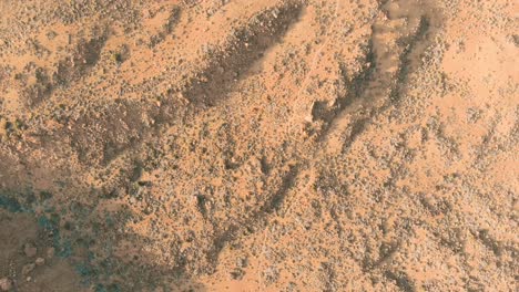 Desert-volcanic-landscape-in-red