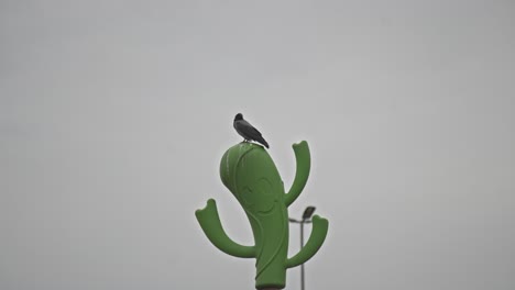 un cuervo mirando alrededor en el patio de recreo de los niños