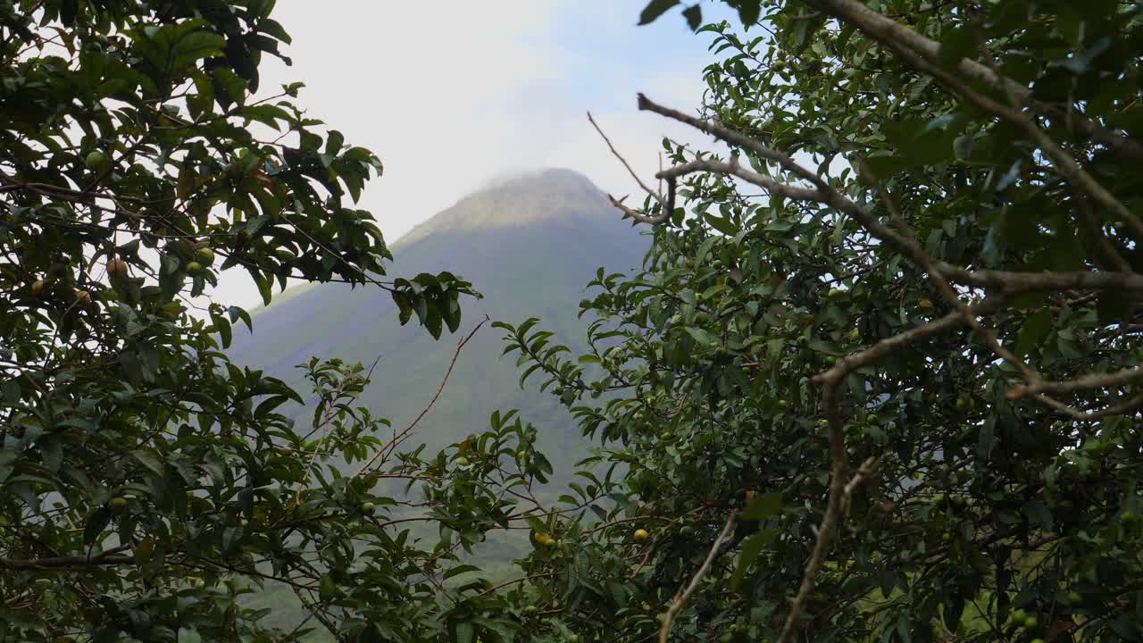tiro medio, viento que sopla las ramas de los árboles que revelan una vista panorámica del volcán arenal en costa rica