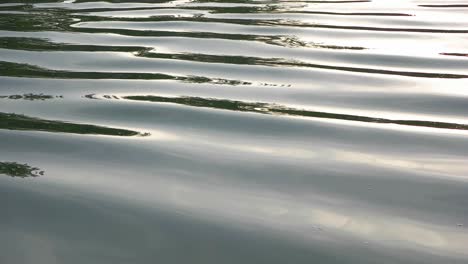 Front view on water waves and light reflections on lake surface