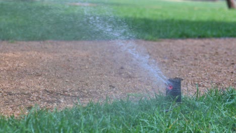 a close-up of a lawn sprinkler spraying water onto a green lawn.