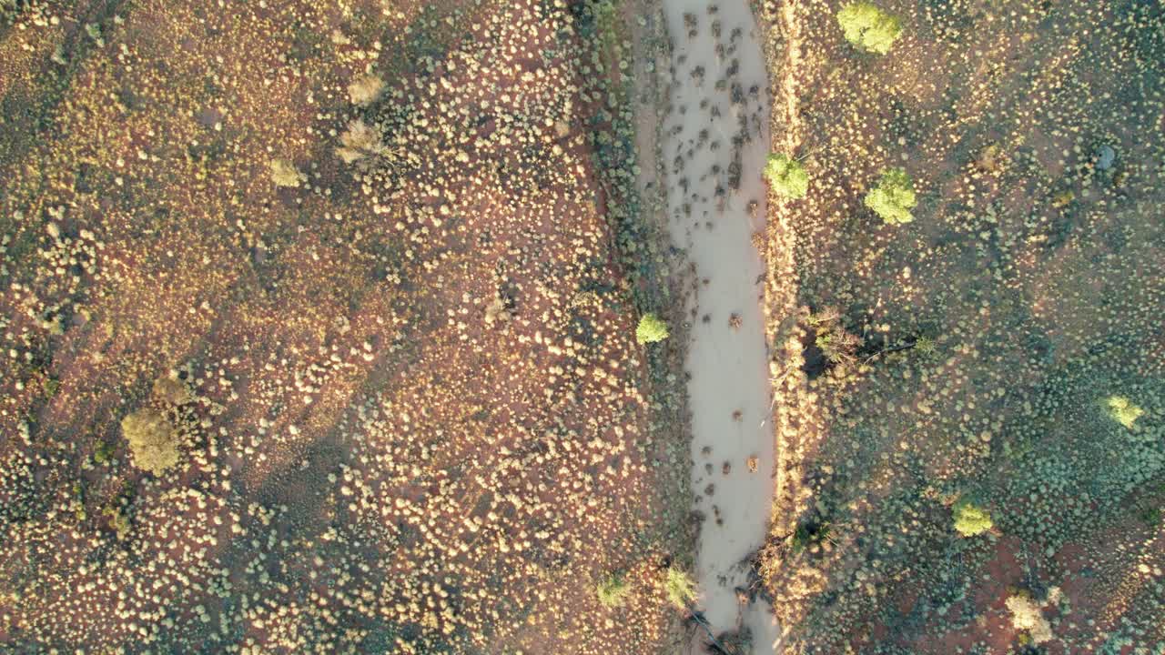 Vertical drone footage of a small creek near Kings Canyon, Watarrka. Northern Territory, Australia. August 2022