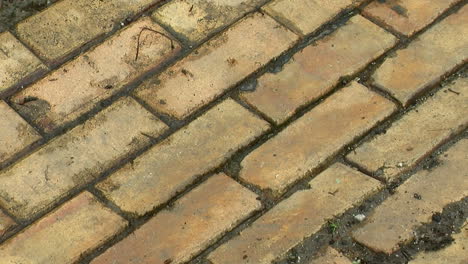 yellowish bricks used as paving material