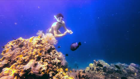 a man diving in the coral reefs of the deep blue ocean with sunlight penetrating the water