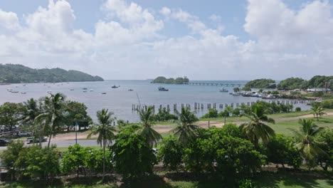 Aerial-flyover-road-with-palm-trees-and-anchored-boats-at-port-of-BAHIA-DE-SAMANA