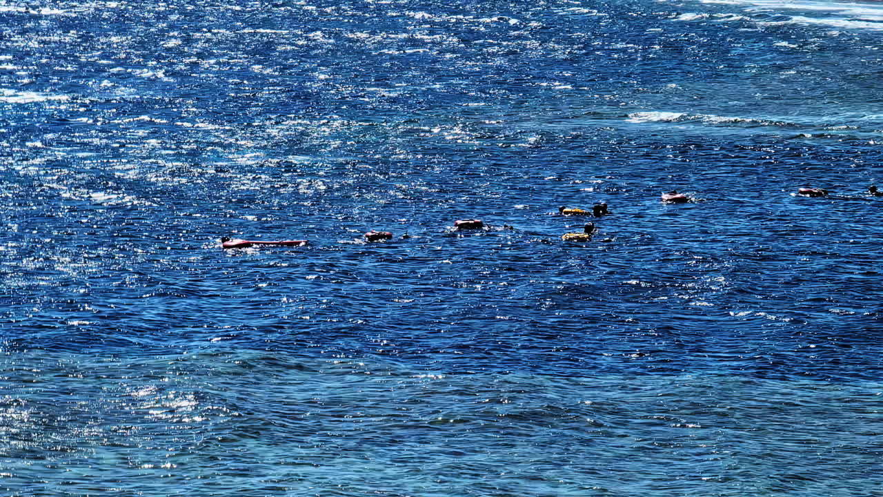 Calm water with small group of ducks swimming near Egypt's coastline