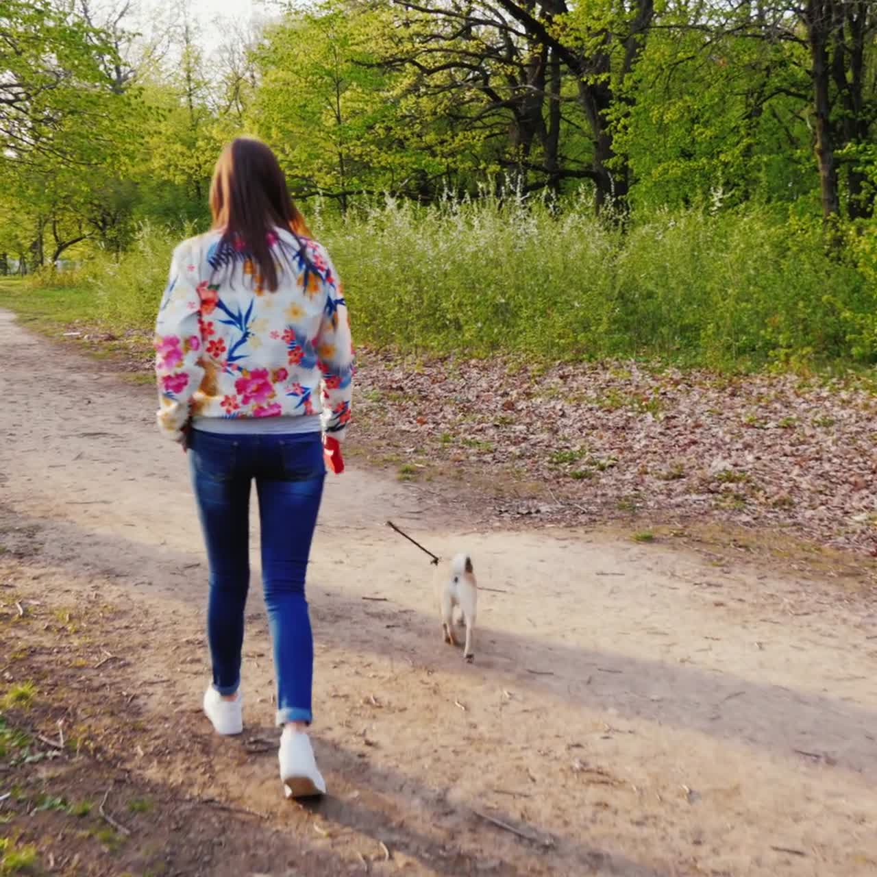 joven mujer elegante con gafas de sol caminando en el parque con un perro de raza pug 6