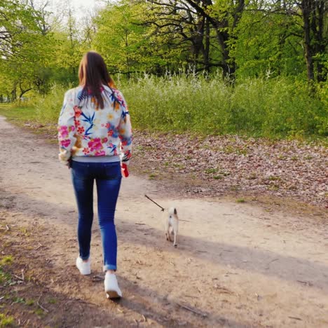 young stylish woman in sunglasses walking in the park with a dog of pug breed 6