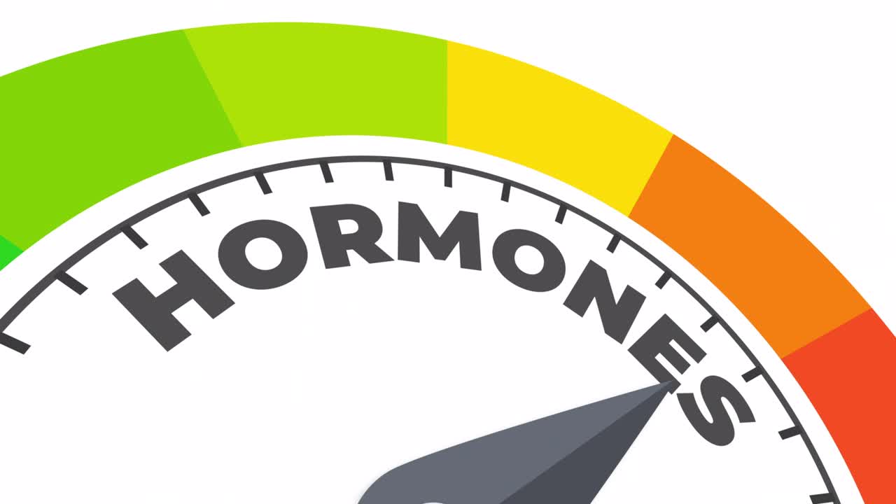 호르몬 수준 애니메이션