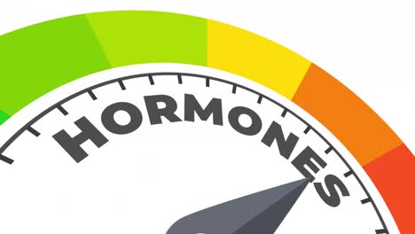 animación del nivel de las hormonas
