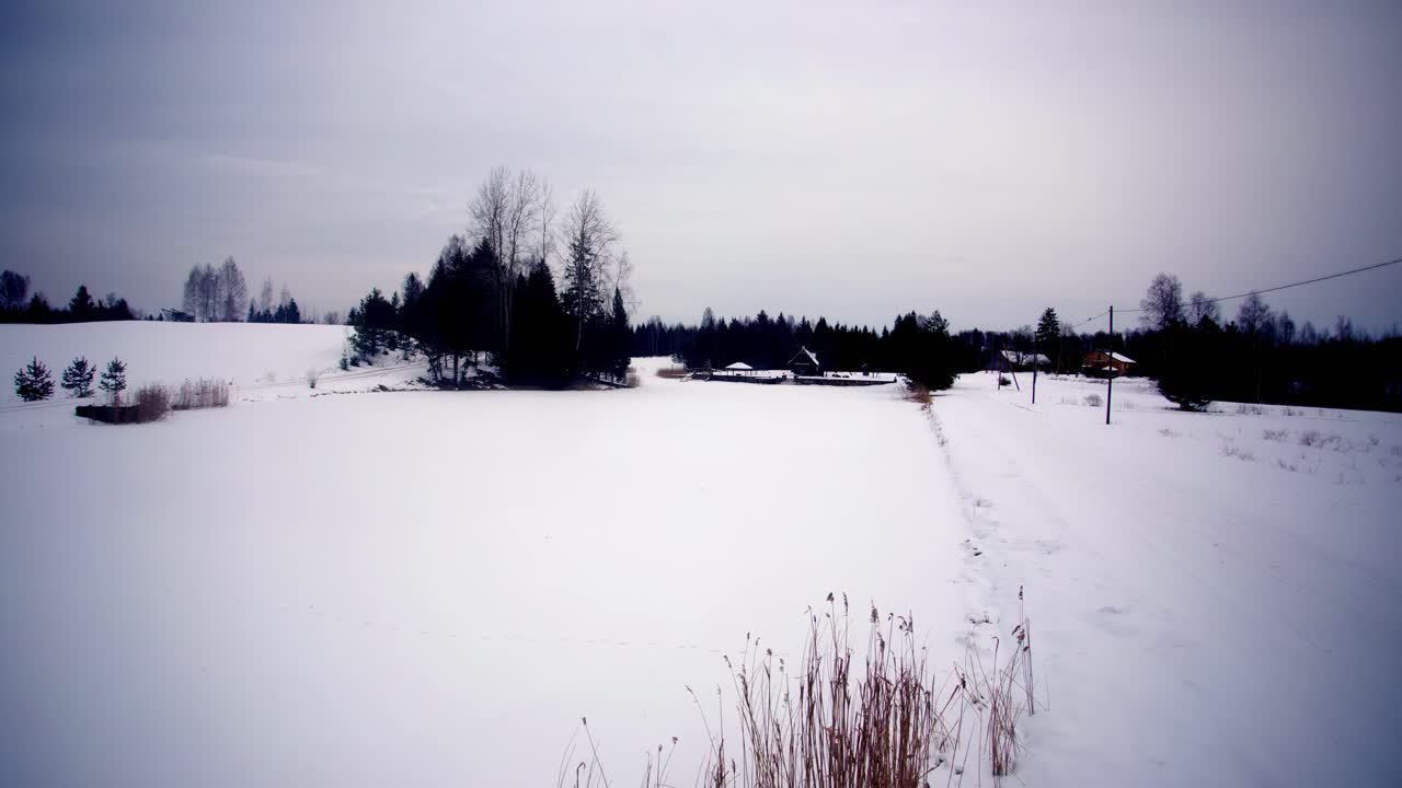 A wide winter landscape showing a snow-covered frozen field, scattered trees, and a distant forest, presented in a dynamic timelapse under a cold blue sky.