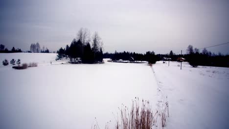 a wide winter landscape showing a snow-covered frozen field, scattered trees, and a distant forest, presented in a dynamic timelapse under a cold blue sky.