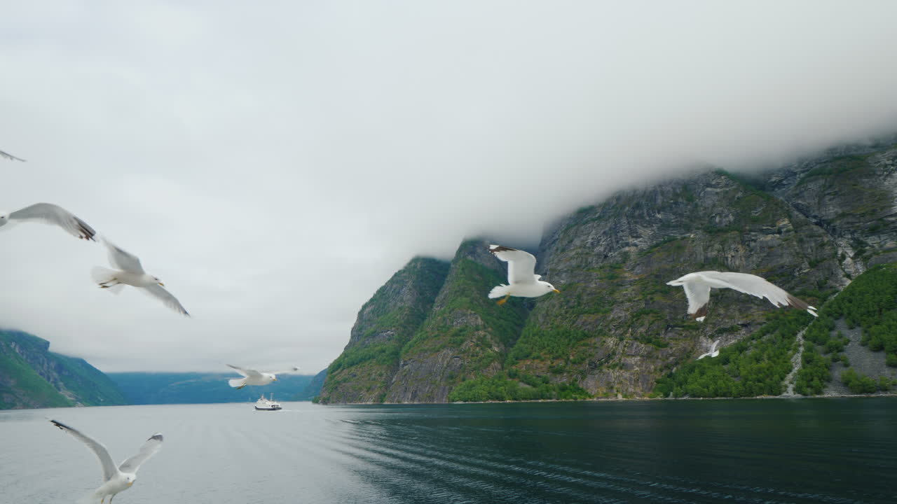 crucero por el pintoresco fiordo en noruega vista desde el barco