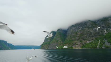 crucero por el pintoresco fiordo en noruega vista desde el barco