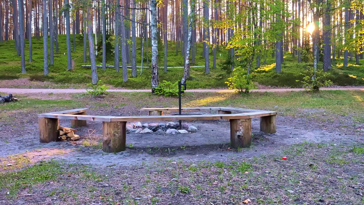 Puinen penkki nuotiopaikan ympärillä mäntymetsässä rauhallisena iltana