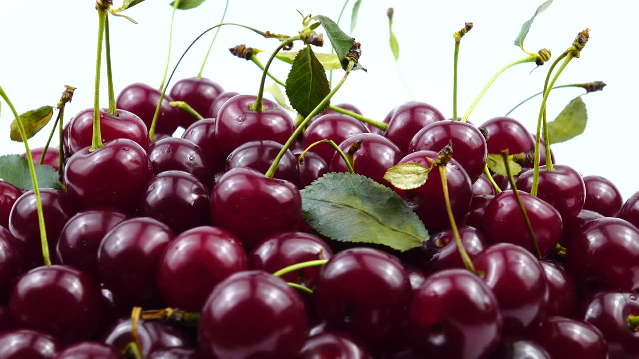 cerezas rojas maduras sobre un fondo blanco