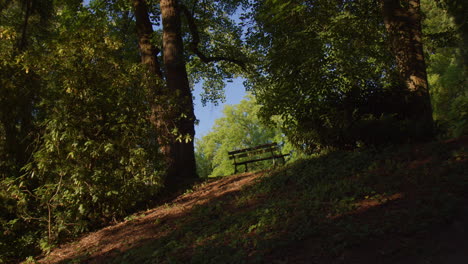 banco vacío en un parque con un paisaje de naturaleza verde exuberante
