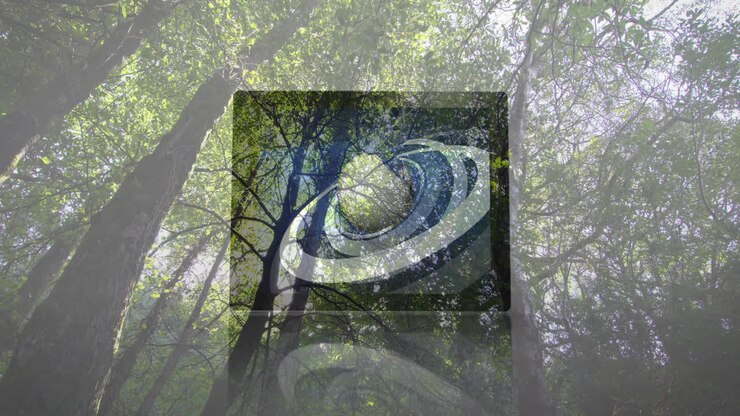 Animation of abstract geometric design over lush green forest canopy background