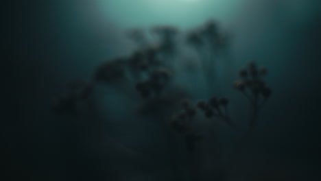 a miniature trees and plants at night
