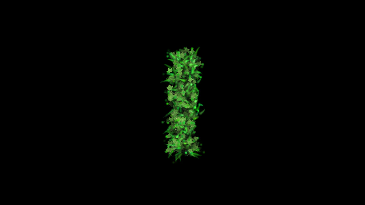 Green leaves forming letter I on transparent background