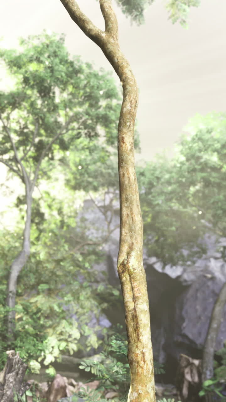 Exploring a vibrant forest with bright sunlight filtering through foliage