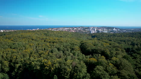 arial backwards shot showing forest landscape with gdynia city in background during sunny day in summer - baltic sea water at horizon
