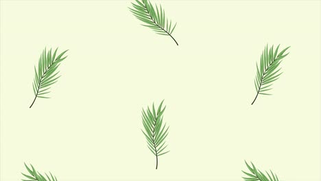 tropical exotics leafs ecology animation pattern