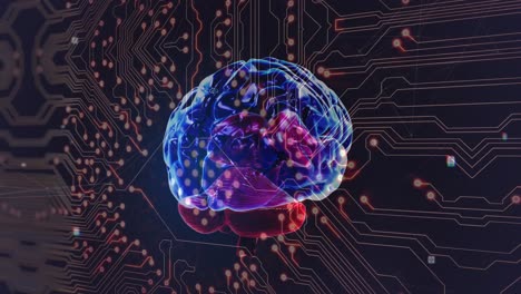 animation of digital brain over computer circuit board on black background