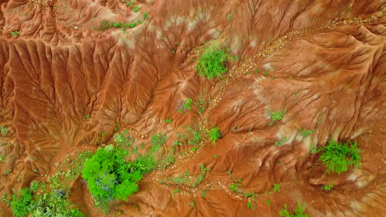 Marvel at the resilience of life as hardy vegetation clings to existence amidst the harsh conditions, adding splashes of green to the otherwise arid panorama