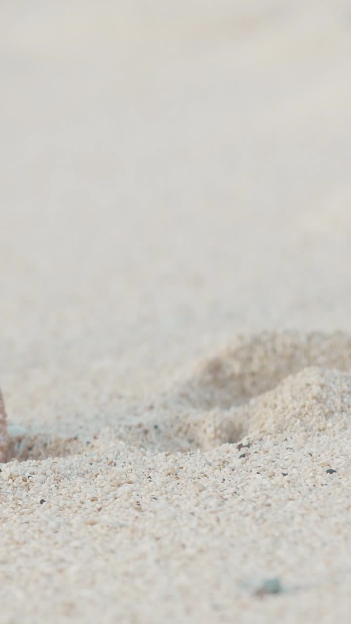 Volunteer cleans plastic waste from balis beautiful beaches