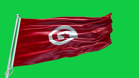 4k highly detailed flag of tunisia - tunisia flag high detail - national flag tunisia wave pattern loopable elements