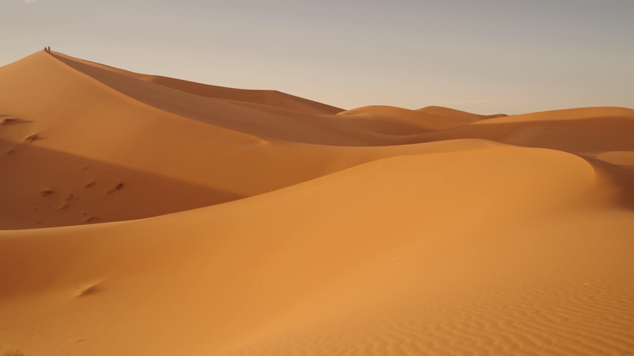 Golden Sahara sand ripples form textured patterns under warm sunset light