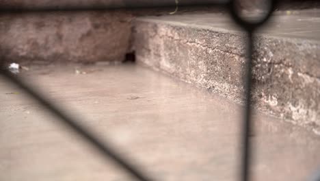 lluvia cayendo en las escaleras fuera de la casa