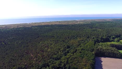 A-drone-shot-flying-upwards,-overlooking-a-forest-and-seeing-the-sea-in-the-distance,-on-the-island-Texel