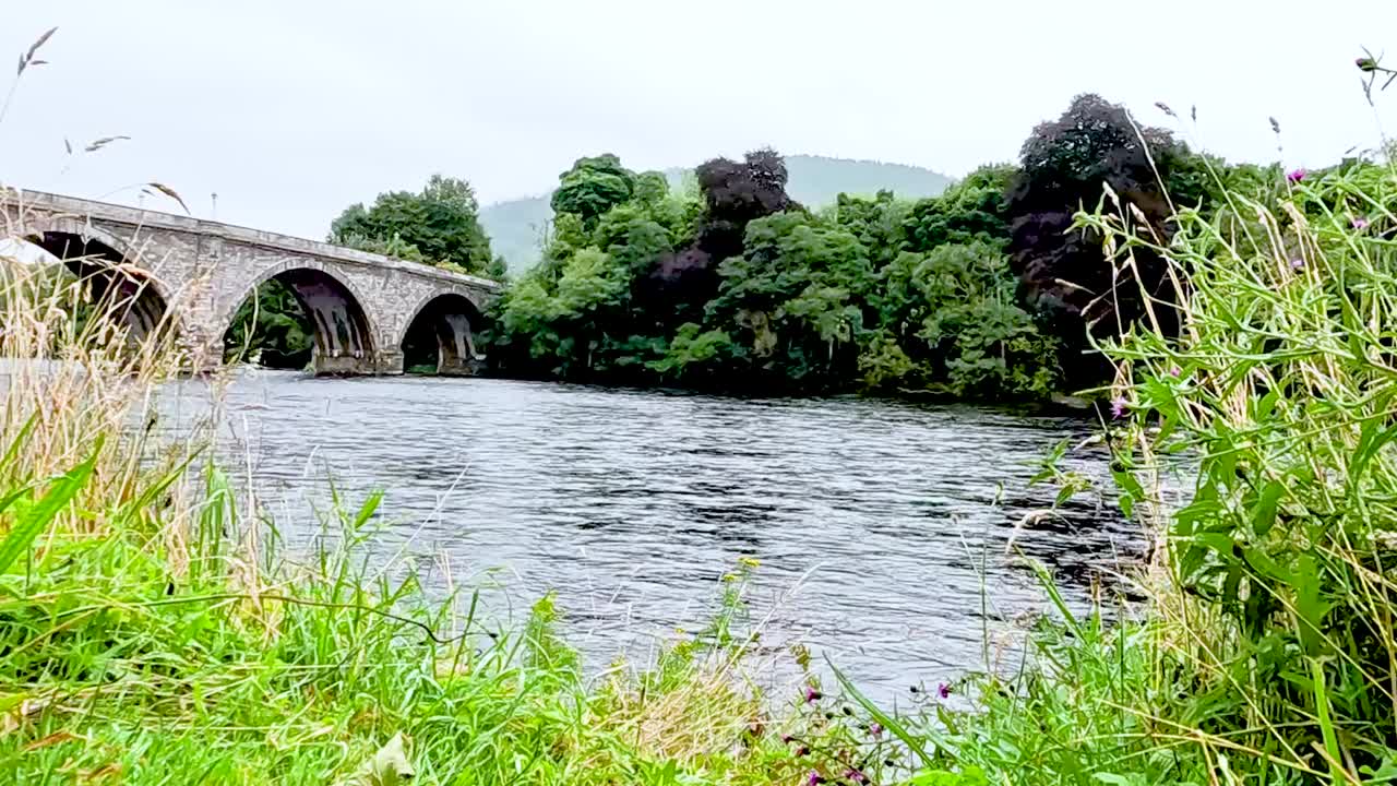 A serene view of a stone bridge spanning a flowing river, surrounded by vibrant green foliage.