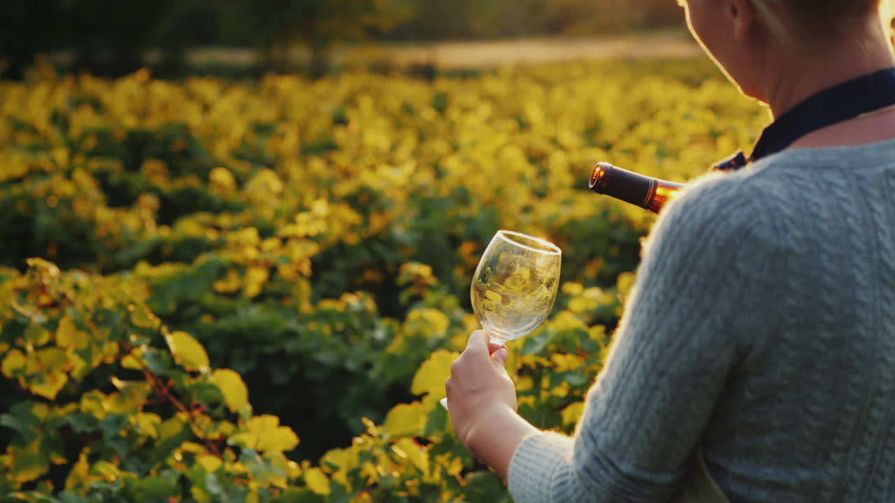 Una donna versa vino bianco in un bicchiere. Degustazione privata in cantina.