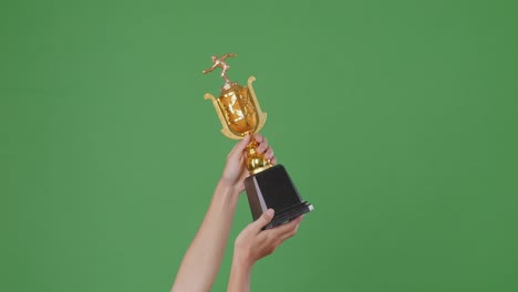 hands holding a golden trophy